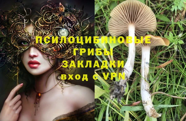 2c-b Абдулино