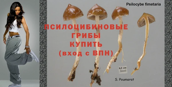 2c-b Абдулино