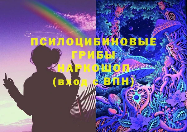 прущий лед Абаза