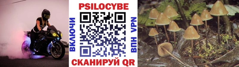 мега ссылка  Химки  Галлюциногенные грибы мицелий 