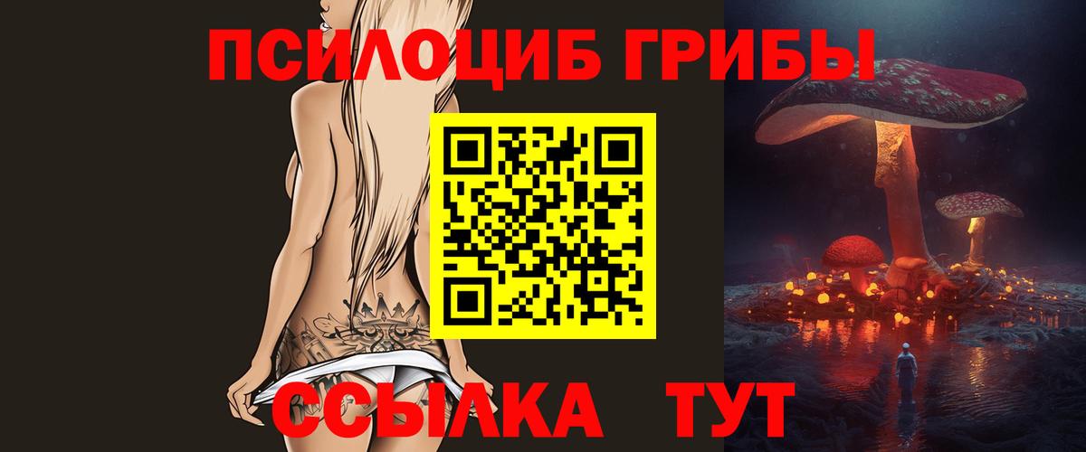 Псилоцибиновые грибы Psilocybe  Вход с VPN  Химки 