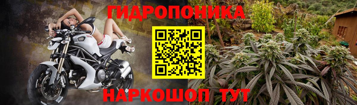 Бошки Шишки AK-47 Химки